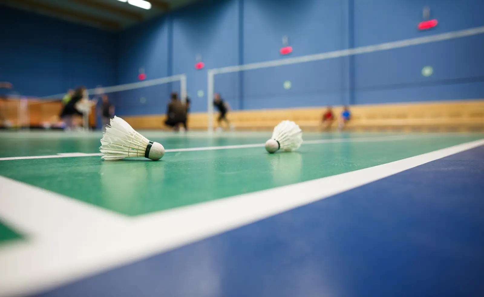 Zwei Federbälle auf einem grünen Badmintonfeld